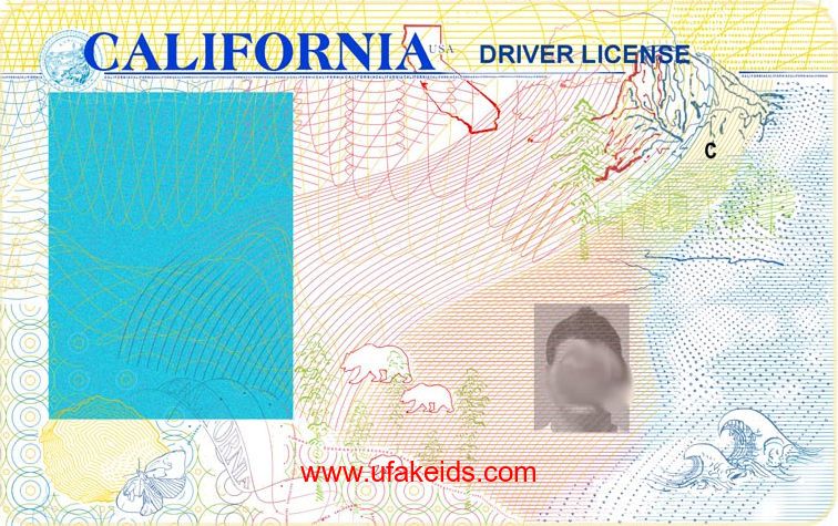 driver license blank template